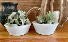 Load image into Gallery viewer, S/2 White Cement Planters | Round Concrete Pots | Great for Smaller Areas | HANDMADE | JLK