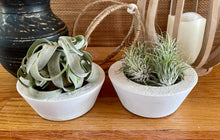 Load image into Gallery viewer, S/2 White Cement Planters | Round Concrete Pots | Great for Smaller Areas | HANDMADE | JLK