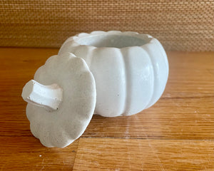 S/3 White Cement Pumpkins, Air plant holders, Concrete Pumpkin w/lid, Autumn Shelf decor, Fall table top decor, JLK