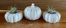 Load image into Gallery viewer, S/3 White Cement Pumpkins, Air plant holders, Concrete Pumpkin w/lid, Autumn Shelf decor, Fall table top decor, JLK