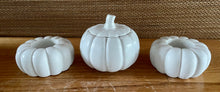 Load image into Gallery viewer, S/3 White Cement Pumpkins, Air plant holders, Concrete Pumpkin w/lid, Autumn Shelf decor, Fall table top decor, JLK