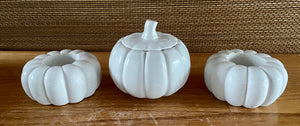 S/3 White Cement Pumpkins, Air plant holders, Concrete Pumpkin w/lid, Autumn Shelf decor, Fall table top decor, JLK