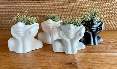 Cement Face Planter, Lady's Head Concrete Pot, Unique Head planter, Succulent, Air Plant holder, JLK