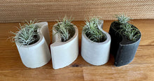 Load image into Gallery viewer, S/2 | Yin Yang Cement Planter | Concrete Pots | Sealant Option | HANDMADE | JLK