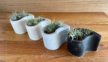 Load image into Gallery viewer, S/2 | Yin Yang Cement Planter | Concrete Pots | Sealant Option | HANDMADE | JLK