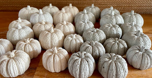 S/3 Cement Pumpkins | Concrete Fall decor | Halloween ornaments | Autumn Decor | JLK