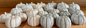 S/3 Cement Pumpkins | Concrete Fall decor | Halloween ornaments | Autumn Decor | JLK