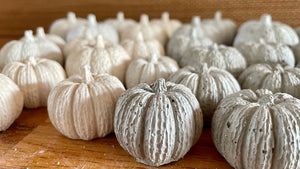 S/3 Cement Pumpkins | Concrete Fall decor | Halloween ornaments | Autumn Decor | JLK