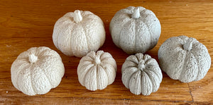 S/3 Cement Pumpkins | Concrete Fall decor | Halloween ornaments | Autumn Decor | JLK