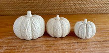 Load image into Gallery viewer, S/3 Cement Pumpkins | Concrete Fall decor | Halloween ornaments | Autumn Decor | JLK