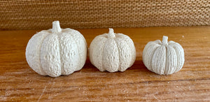 S/3 Cement Pumpkins | Concrete Fall decor | Halloween ornaments | Autumn Decor | JLK