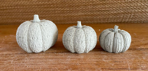 S/3 Cement Pumpkins | Concrete Fall decor | Halloween ornaments | Autumn Decor | JLK