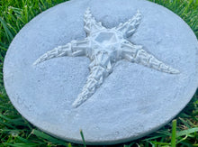 Load image into Gallery viewer, Starfish Cement Stepping Stone | Concrete Starfish decorative Stepping Stone | HANDMADE | JLK