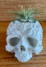 Load image into Gallery viewer, S/3 Cement Skull | Incense Burner | Ashtray | PAINTABLE | JLK