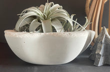 Load image into Gallery viewer, 13&quot; Heavy Cement Bowl | Concrete Planter | SEALANT Options | Wabi Sabi | HANDMADE | JLK