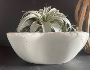 13" Heavy Cement Bowl | Concrete Planter | SEALANT Options | Wabi Sabi | HANDMADE | JLK