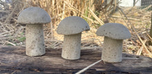 Load image into Gallery viewer, S/3 | Cement Mushrooms | Concrete Shrooms | Rustic | HANDMADE | JLK