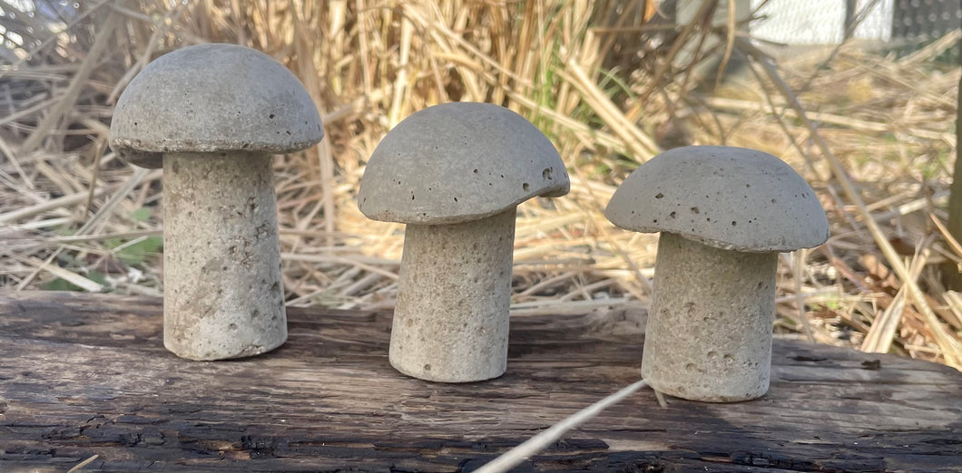 S/3 | Cement Mushrooms | Concrete Shrooms | Rustic | HANDMADE | JLK