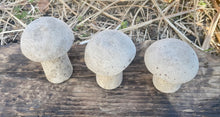 Load image into Gallery viewer, S/3 | Cement Mushrooms | Concrete Shrooms | Rustic | HANDMADE | JLK