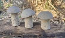 Load image into Gallery viewer, S/3 | Cement Mushrooms | Concrete Shrooms | Rustic | HANDMADE | JLK