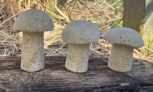 Load image into Gallery viewer, S/3 | Cement Mushrooms | Concrete Shrooms | Rustic | HANDMADE | JLK